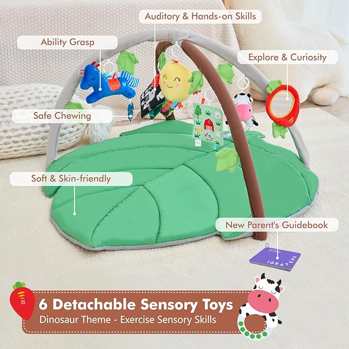 🧸 Gimnasio de actividades 🧸