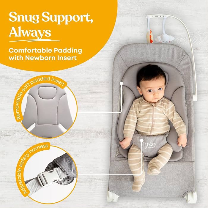 Baby bouncer