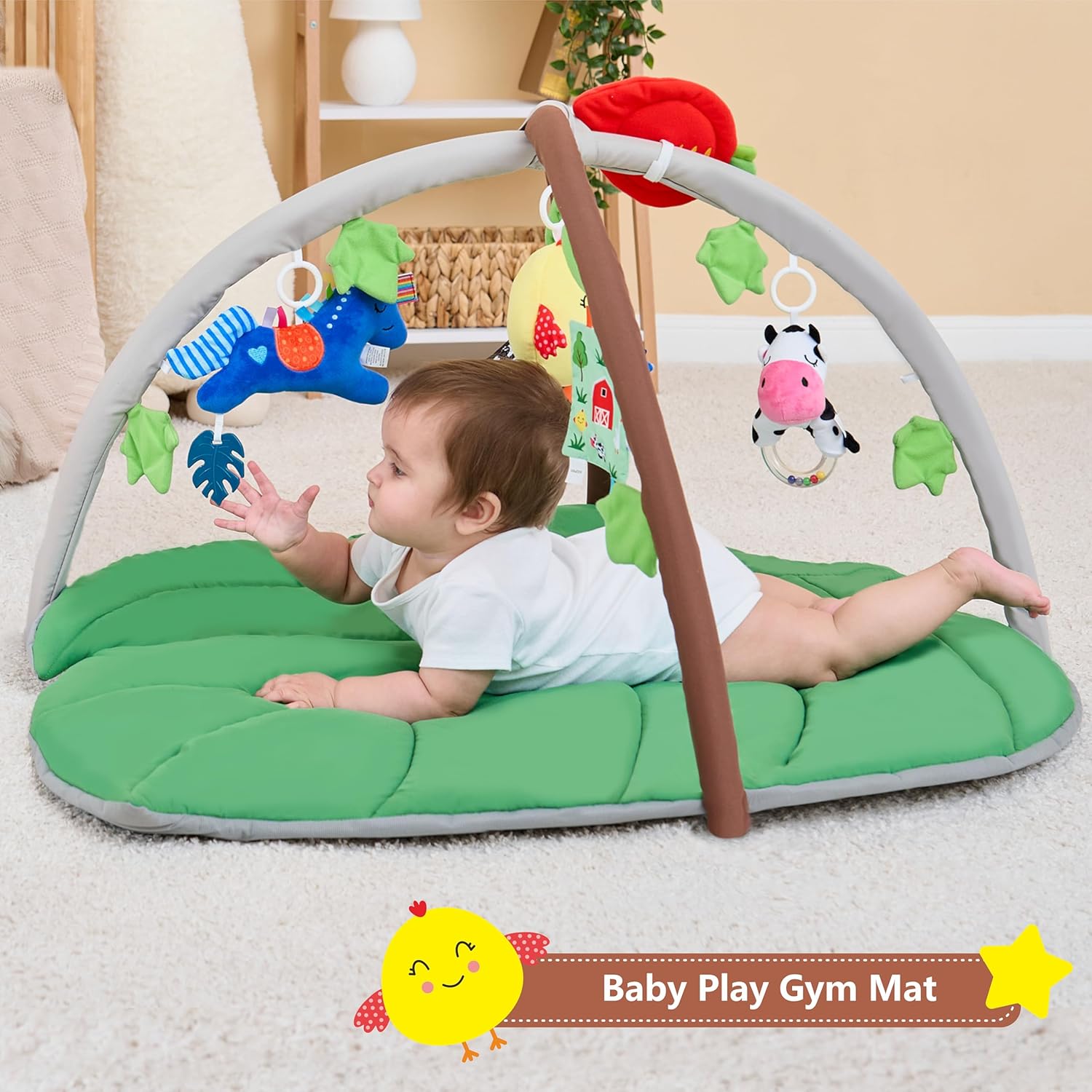 🧸 Gimnasio de actividades 🧸