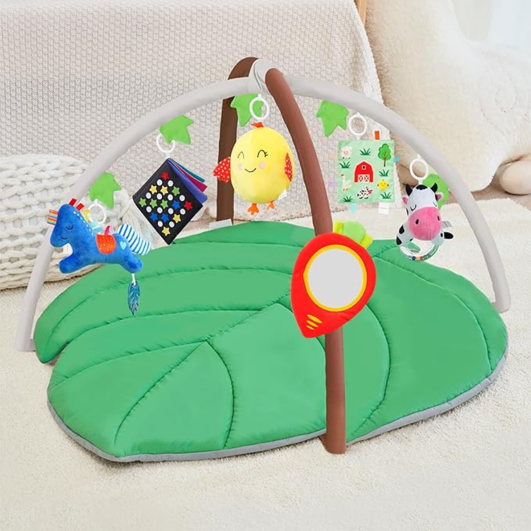 🧸 Gimnasio de actividades 🧸